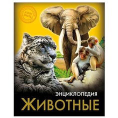 Соколова Я. Энциклопедия. Хочу Проф Пресс