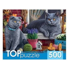 Пазл Рыжий кот TOPpuzzle Два