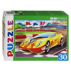 Пазл Рыжий кот Artpuzzle