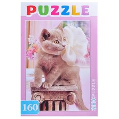 Пазл Рыжий кот Artpuzzle