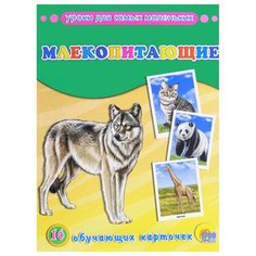 Набор карточек Проф-Пресс