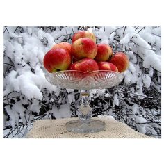 Molly Картина по номерам