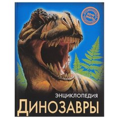 Астапенко И. Энциклопедия. Хочу Проф Пресс