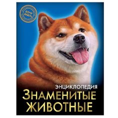 Соколова Л. Энциклопедия. Хочу Проф Пресс