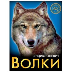 Визаулин А. Энциклопедия. Хочу Проф Пресс