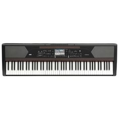 Цифровое пианино KORG Havian 30