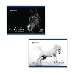 Альбом для рисования BRAUBERG