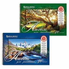Альбом для рисования BRAUBERG