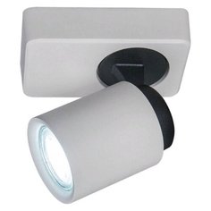 Спот Citilux Норман CL533510