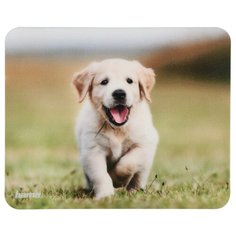 Коврик HAMA Animal 00054790