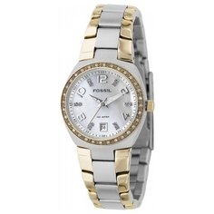 Наручные часы FOSSIL AM4183
