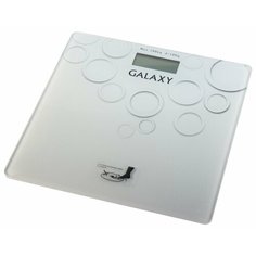 Весы Galaxy GL4806