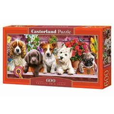 Пазл Castorland Puppies on a