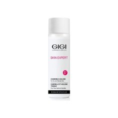 Gigi Тонер Professional