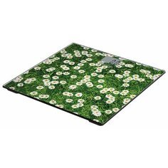 Весы STARWIND SSP2355