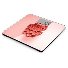 Весы STARWIND SSP6041