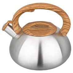 Webber Чайник BE-0588 1 3 л