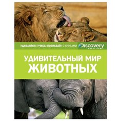 Discovery Education. Machaon