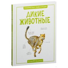 Морган С. Практическая Machaon