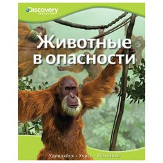 Discovery Education. Животные в Machaon