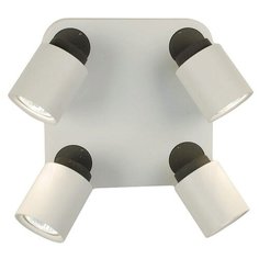 Спот Citilux Норман CL533541