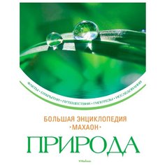 Дютийель Э. Большая Machaon