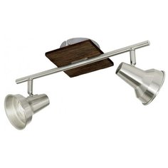 Спот Eglo Filipina 95647