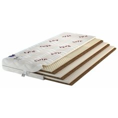 Матрас Evita Press Plus