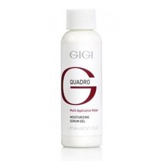 Gigi Quadro Multi-Application
