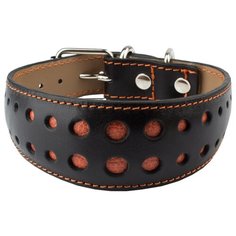 Ошейник Dimanche Перфорация S, 40 см 28-32 см черный/коралловый