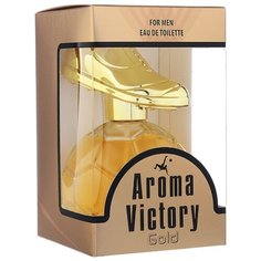 Туалетная вода Парфюмерия XXI века Aroma Victory Gold, 100 мл