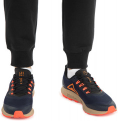 Кроссовки мужские Nike Air Zoom Pegasus 36 Trail, размер 44