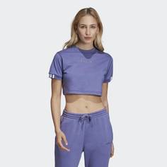 Футболка Coeeze adidas Originals