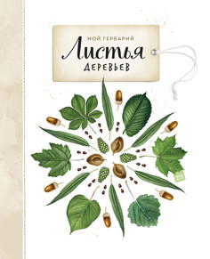 Мой Гербарий. листья Деревьев