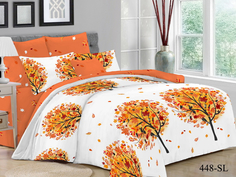 Постельное белье Cleo Eglantine (2 спальное евро)