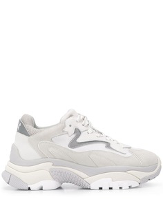 Ash Addict low-top sneakers