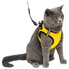 Шлейка с поводком Дарэлл