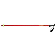 Палки для горных лыж HEAD