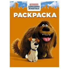 Mainstream Раскраска. Тайная