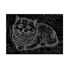 Гравюра Рыжий кот Милый котенок