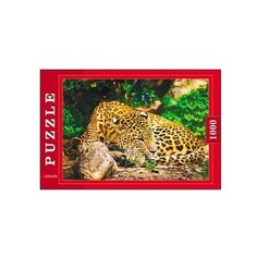 Пазл Рыжий кот Леопард