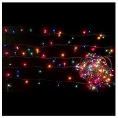 Гирлянда Winter Wings 1230 см