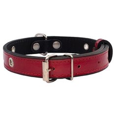 Ошейник Дарэлл Брайт-люверс