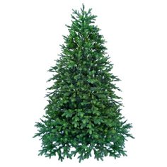 Царь елка Ель Альтаир