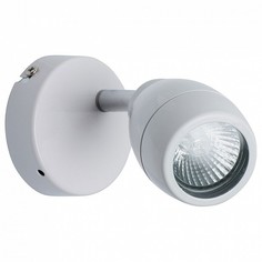 Спот Аква 9 509023201 Mw Light