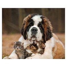 Molly Картина по номерам "Опекун" 40х50 см (KH0229)