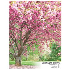 Фотообои бумажные Симфония Цветущая сакура 1.4х2м Цветущая сакура