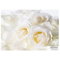 Фотообои бумажные Симфония Невинность 2.8х2м невинность