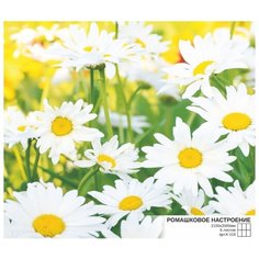 Фотообои бумажные Симфония Ромашковое настроение 2.1х2м разноцветный
