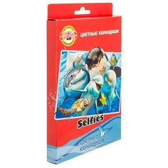 KOH-I-NOOR Карандаши цветные Selfies, 36 цветов (3555/36 SS KS)